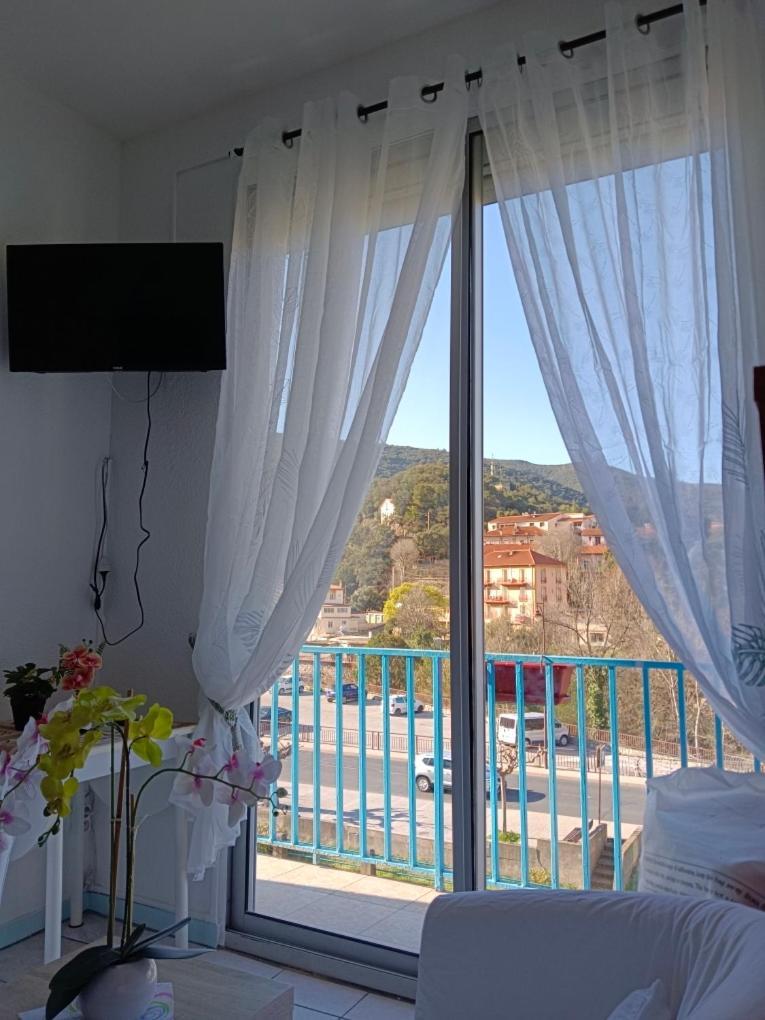 Christiane Cere Apartment Amelie-les-Bains-Palalda Luaran gambar