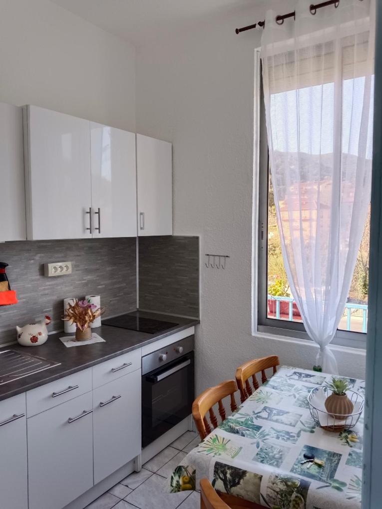 Christiane Cere Apartment Amelie-les-Bains-Palalda Luaran gambar