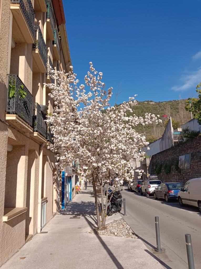 Christiane Cere Apartment Amelie-les-Bains-Palalda Luaran gambar